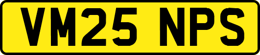 VM25NPS