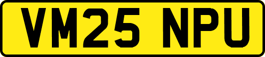 VM25NPU