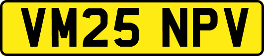 VM25NPV