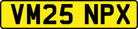 VM25NPX