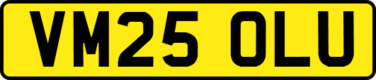 VM25OLU