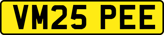 VM25PEE