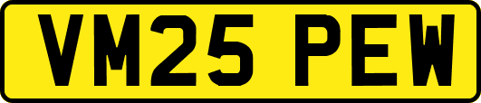 VM25PEW