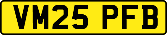 VM25PFB