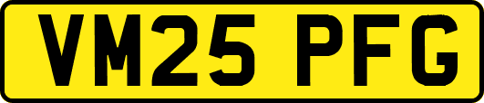 VM25PFG