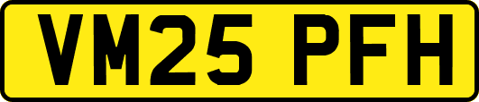 VM25PFH