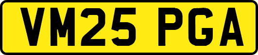 VM25PGA