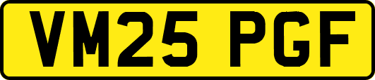 VM25PGF