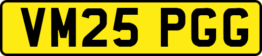 VM25PGG