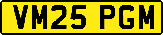 VM25PGM