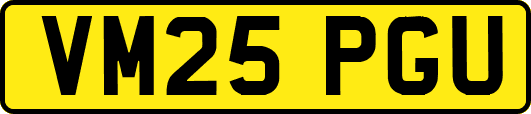 VM25PGU