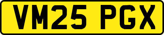 VM25PGX
