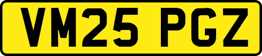 VM25PGZ