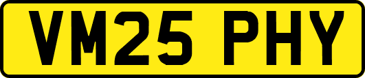 VM25PHY