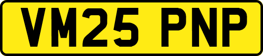 VM25PNP