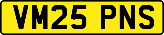 VM25PNS