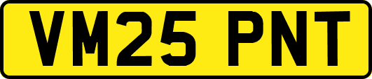 VM25PNT