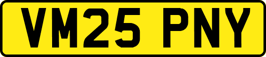 VM25PNY