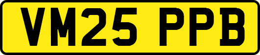 VM25PPB