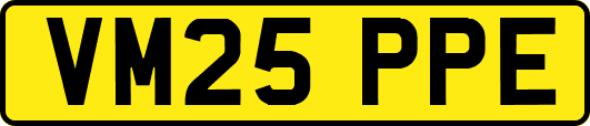 VM25PPE