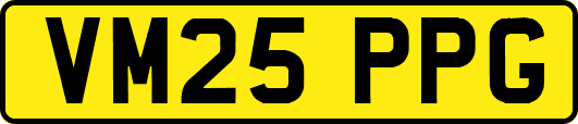 VM25PPG