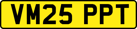 VM25PPT
