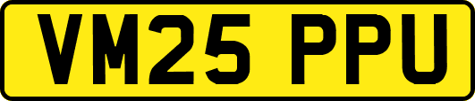 VM25PPU