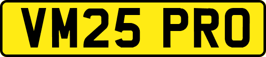 VM25PRO