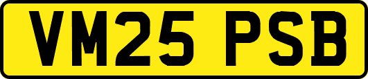VM25PSB