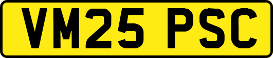 VM25PSC