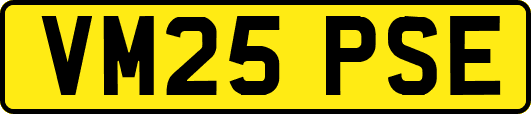 VM25PSE