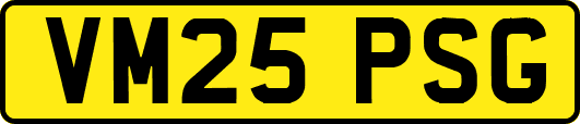VM25PSG