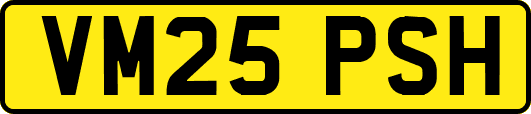 VM25PSH