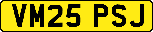 VM25PSJ