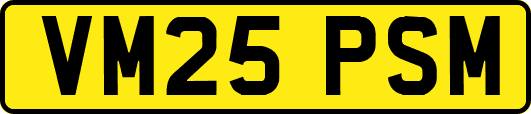 VM25PSM