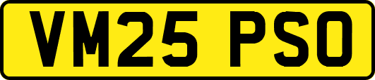 VM25PSO
