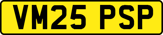 VM25PSP