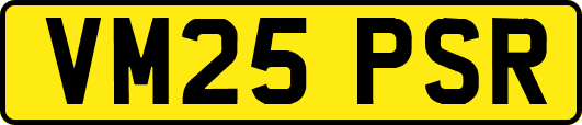 VM25PSR