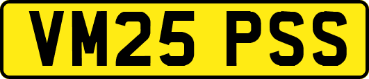 VM25PSS