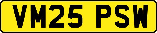 VM25PSW