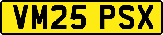 VM25PSX