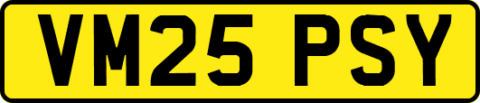 VM25PSY