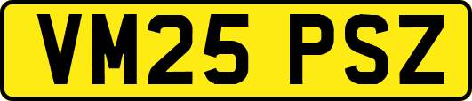 VM25PSZ