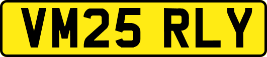 VM25RLY