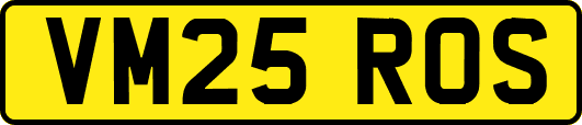 VM25ROS