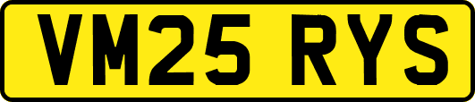 VM25RYS