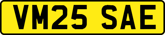 VM25SAE