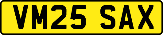 VM25SAX