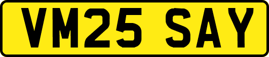 VM25SAY