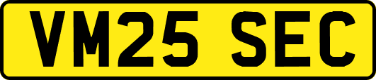 VM25SEC